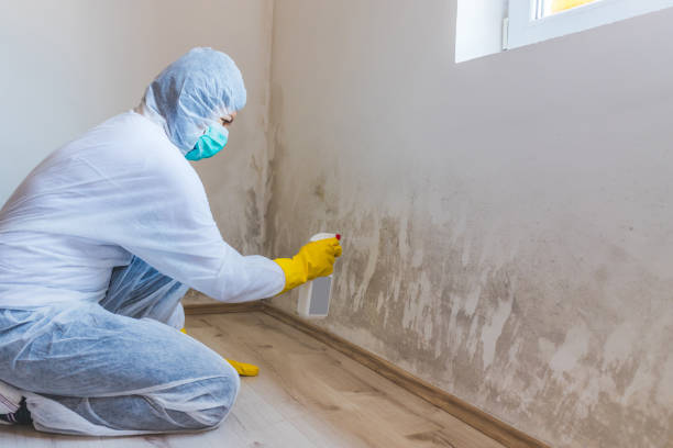 Hvac And Air Duct Mold Remediation inspection of HVAC system in Reston